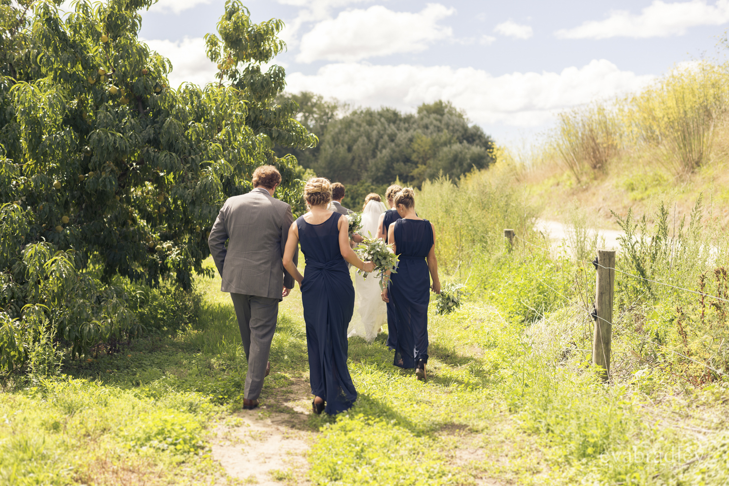 top-new-zealand-wedding-photographers