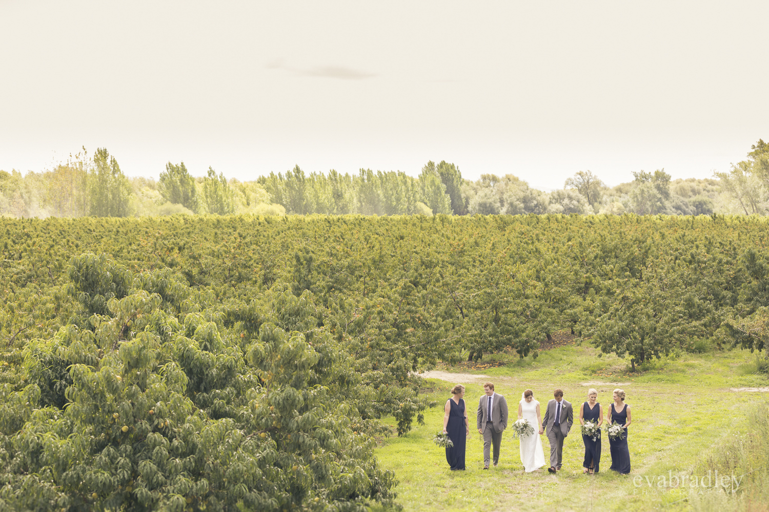 best-wedding-photographer-hawkes-bay