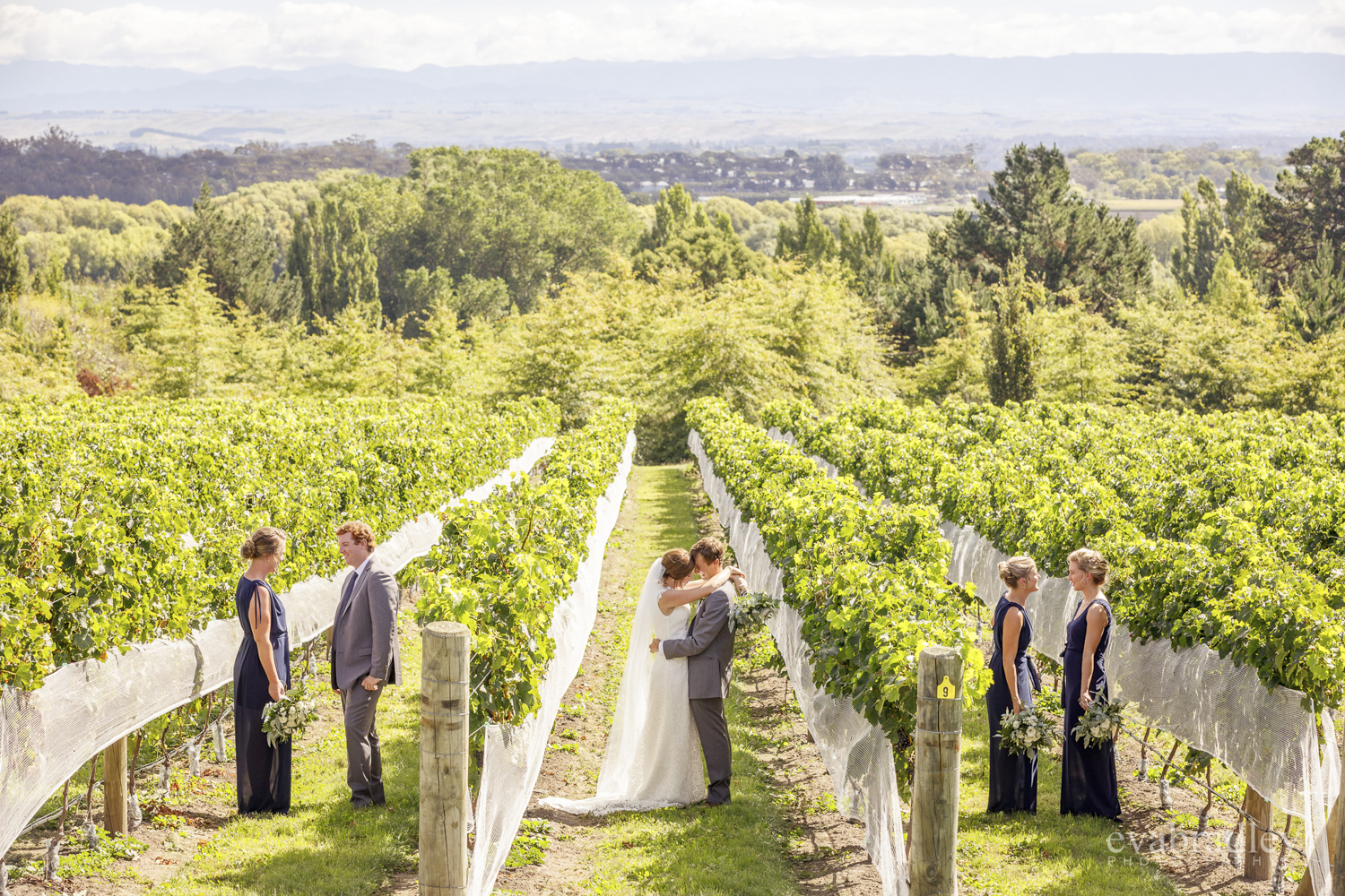 winery-weddings-nz