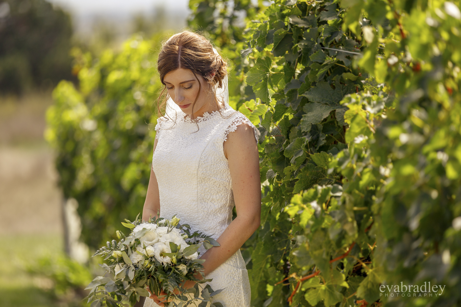 vineyard-weddings-hawkes-bay