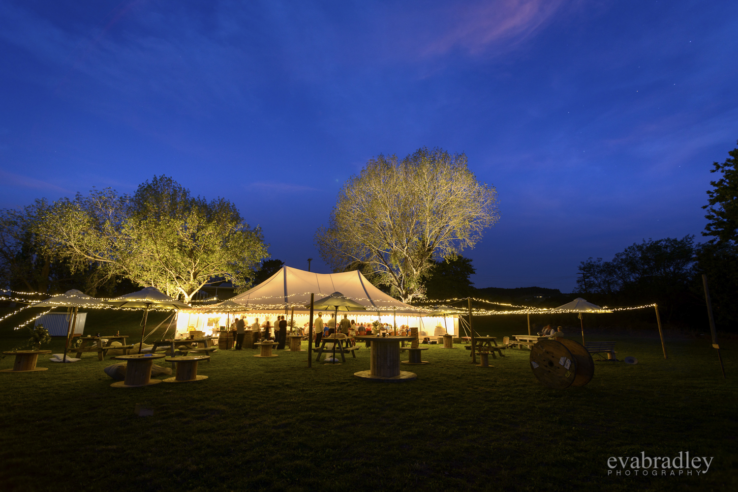 marquee-wedding-nz