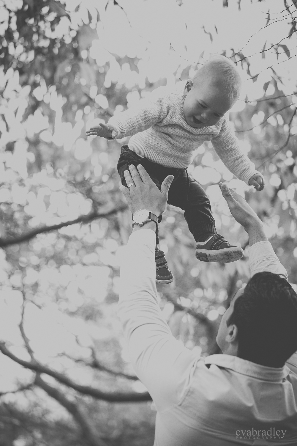 baby-photographers-hawkes-bay