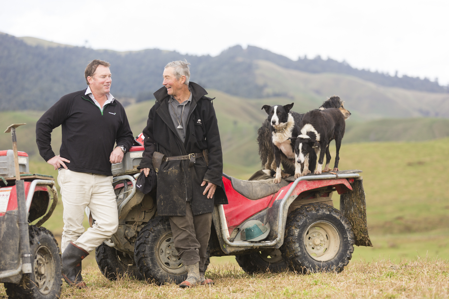 rural-sector-commercial-photographer-hawkes-bay