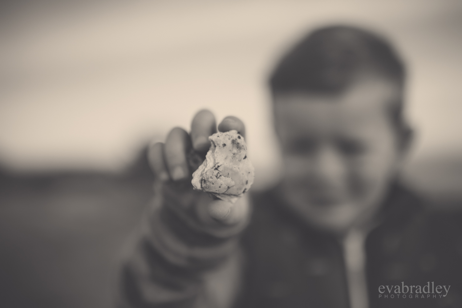 family-photographers-hawkes-bay-nz