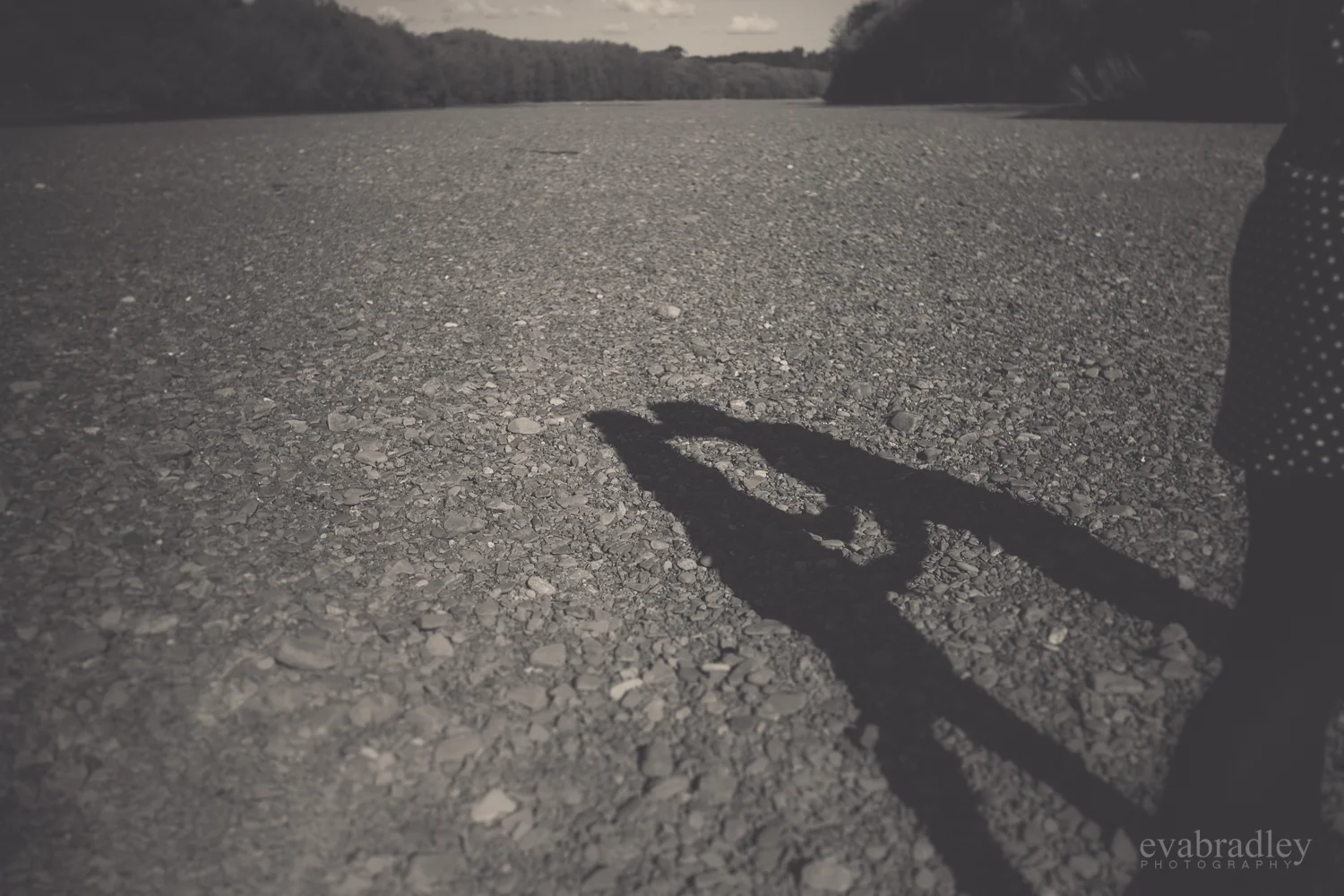 hawkes-bay-photographers-nz