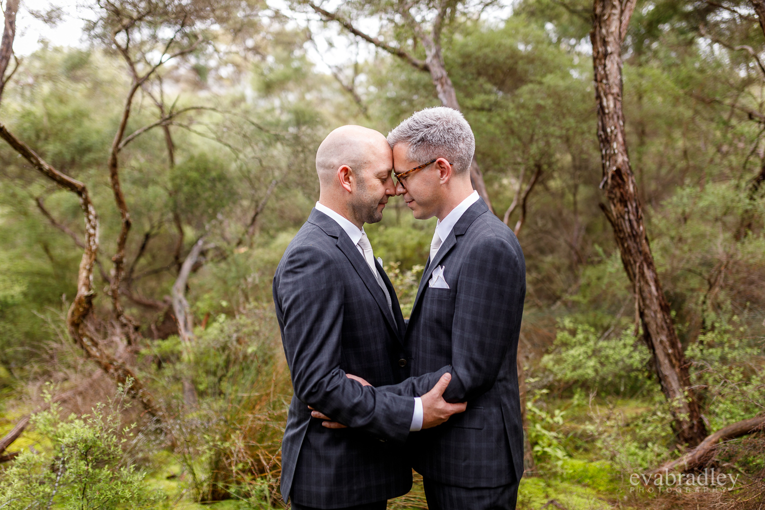 nz-gay-weddings