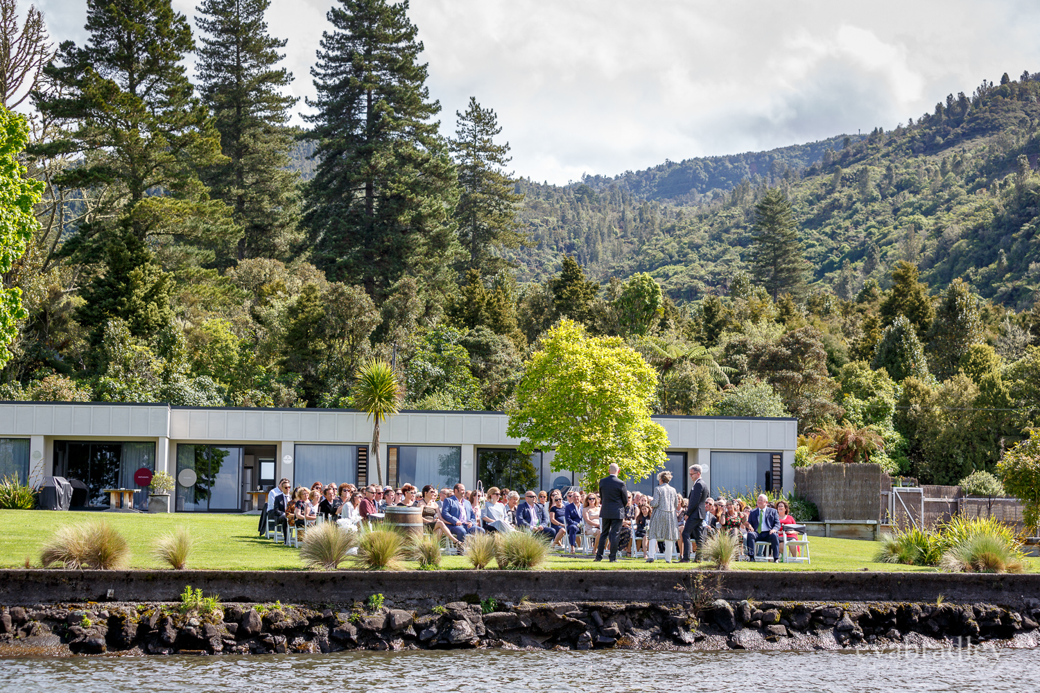 gay-wedding-nz