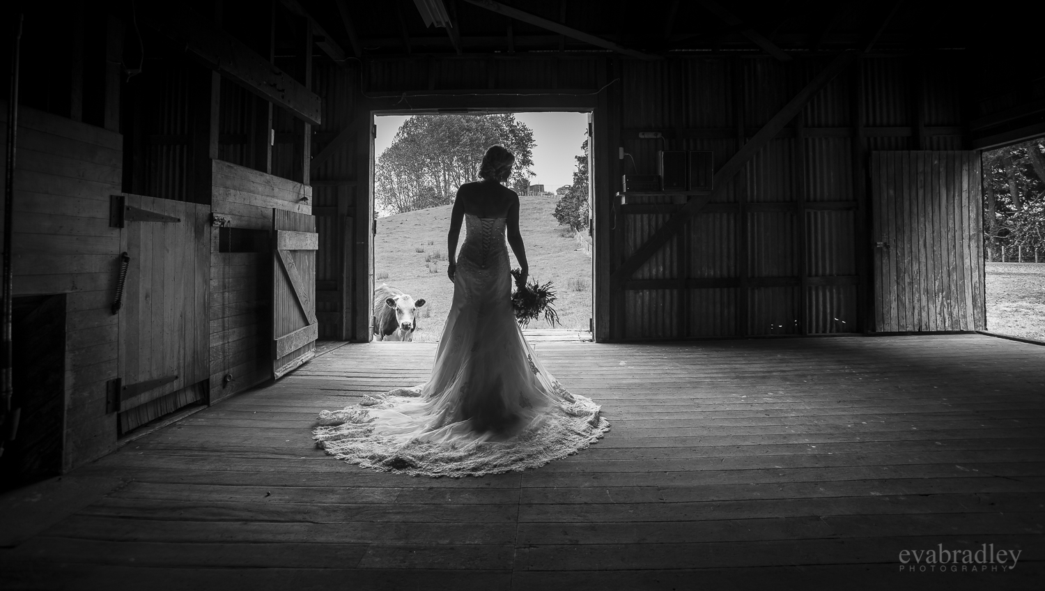 photographers-hawkes-bay