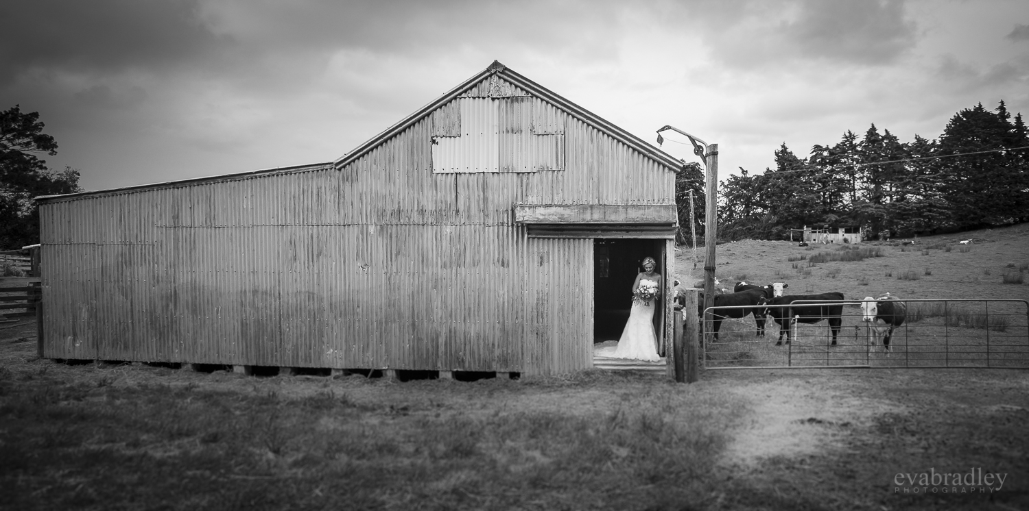 eva-bradley-photography