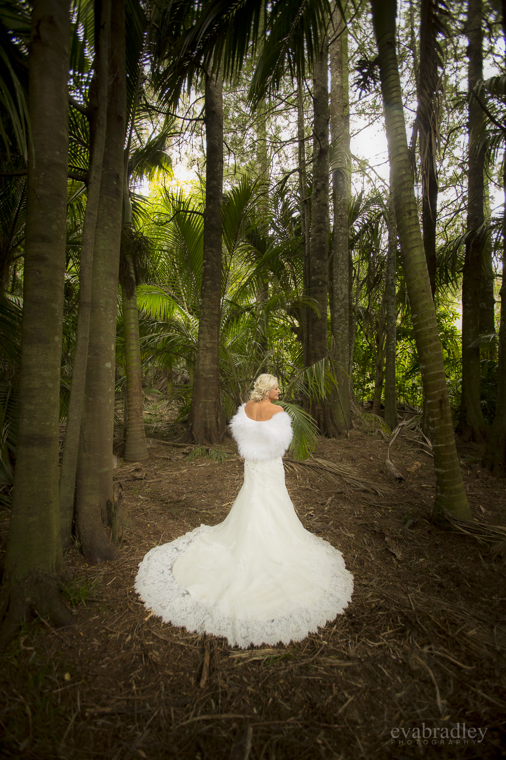 hawkes-bay-wedding-venues