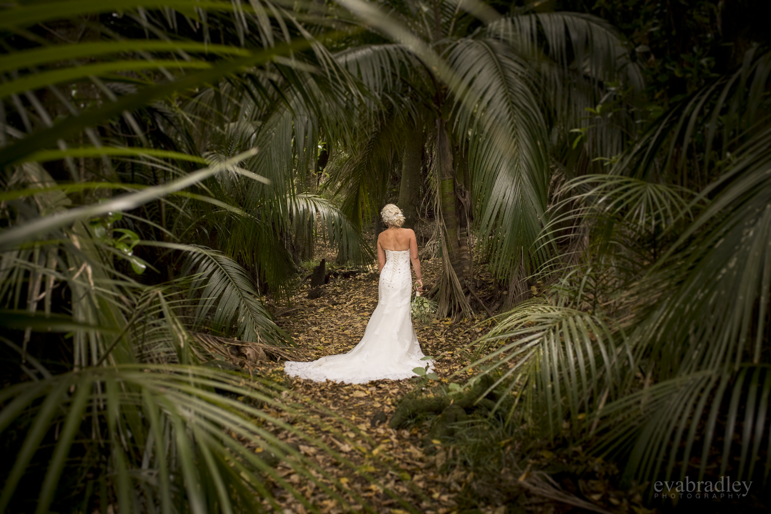 best-hawkes-bay-wedding-photographers