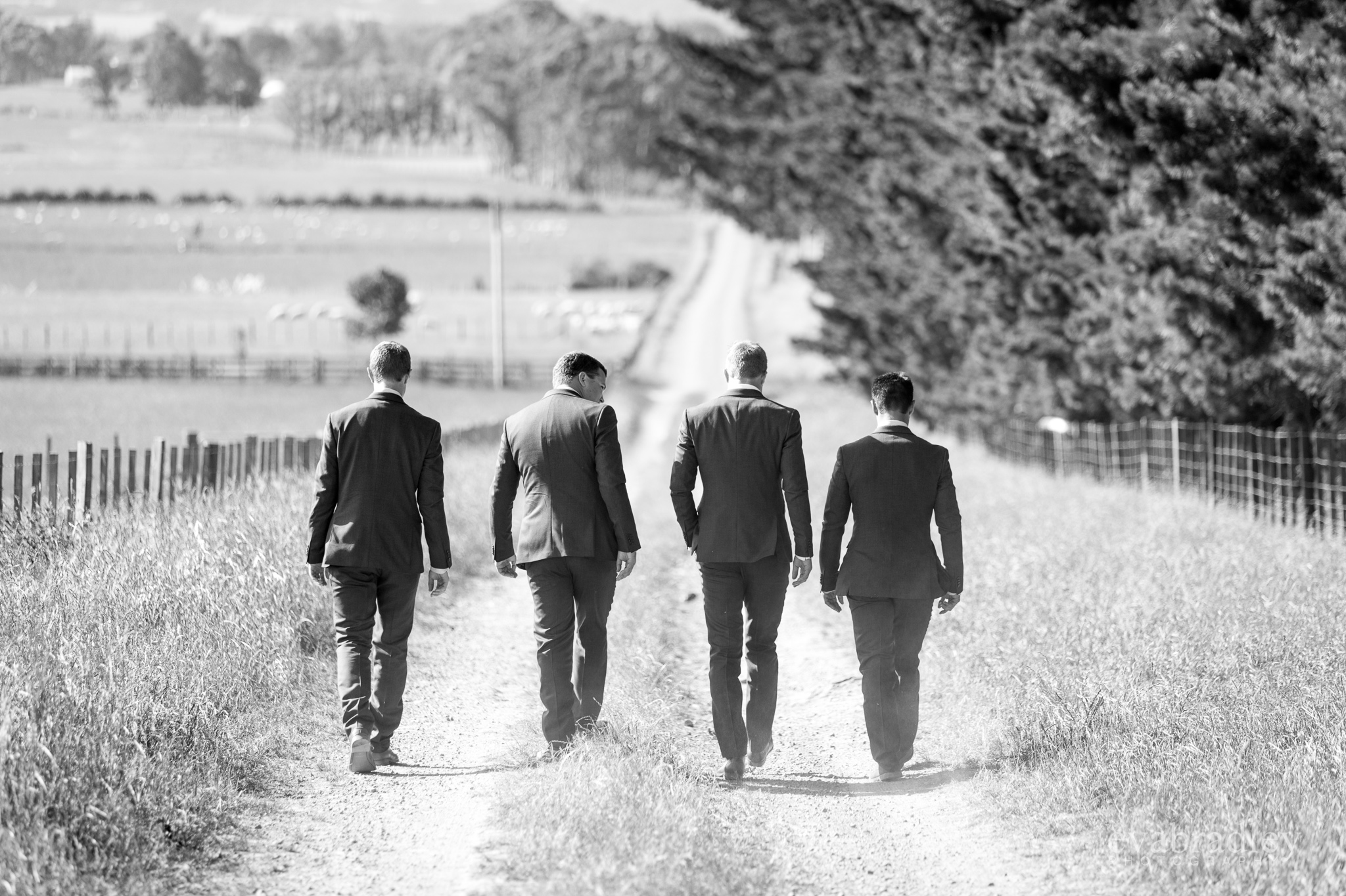 barkers-groomsmen-groom-suits-nz