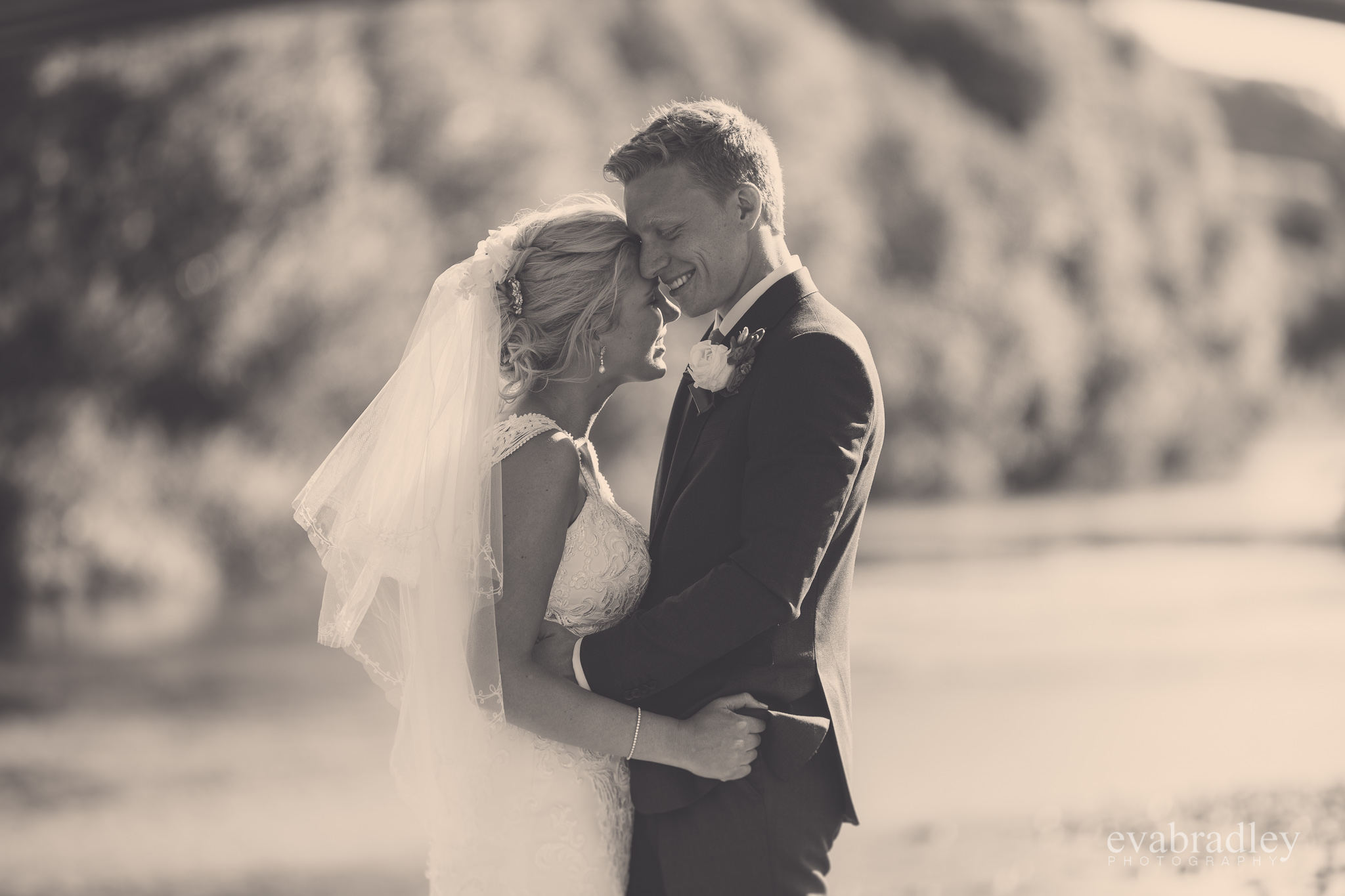 wedding-veil-best-wedding-photographers-nz