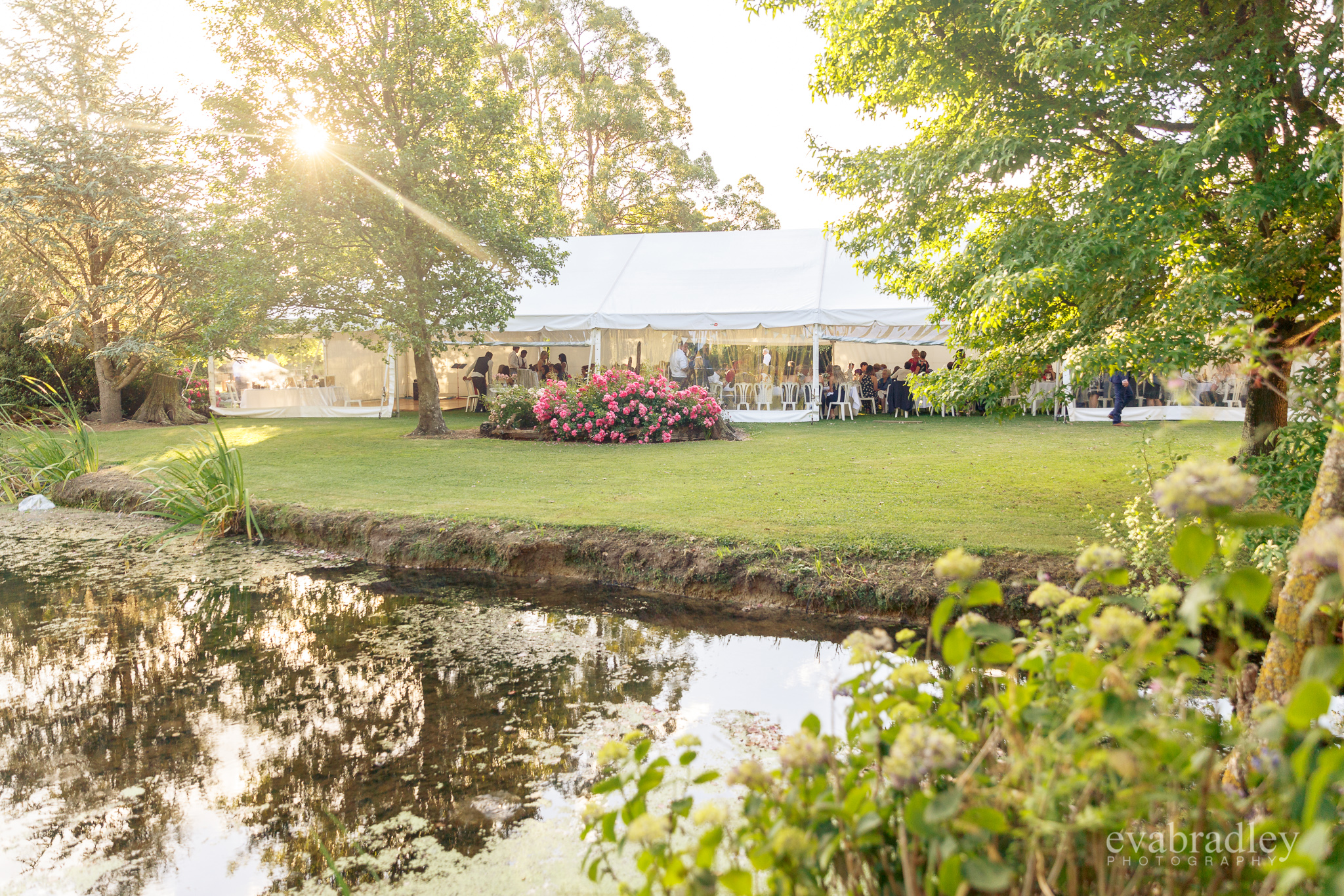 garden-marquee-wedding-new-zealand