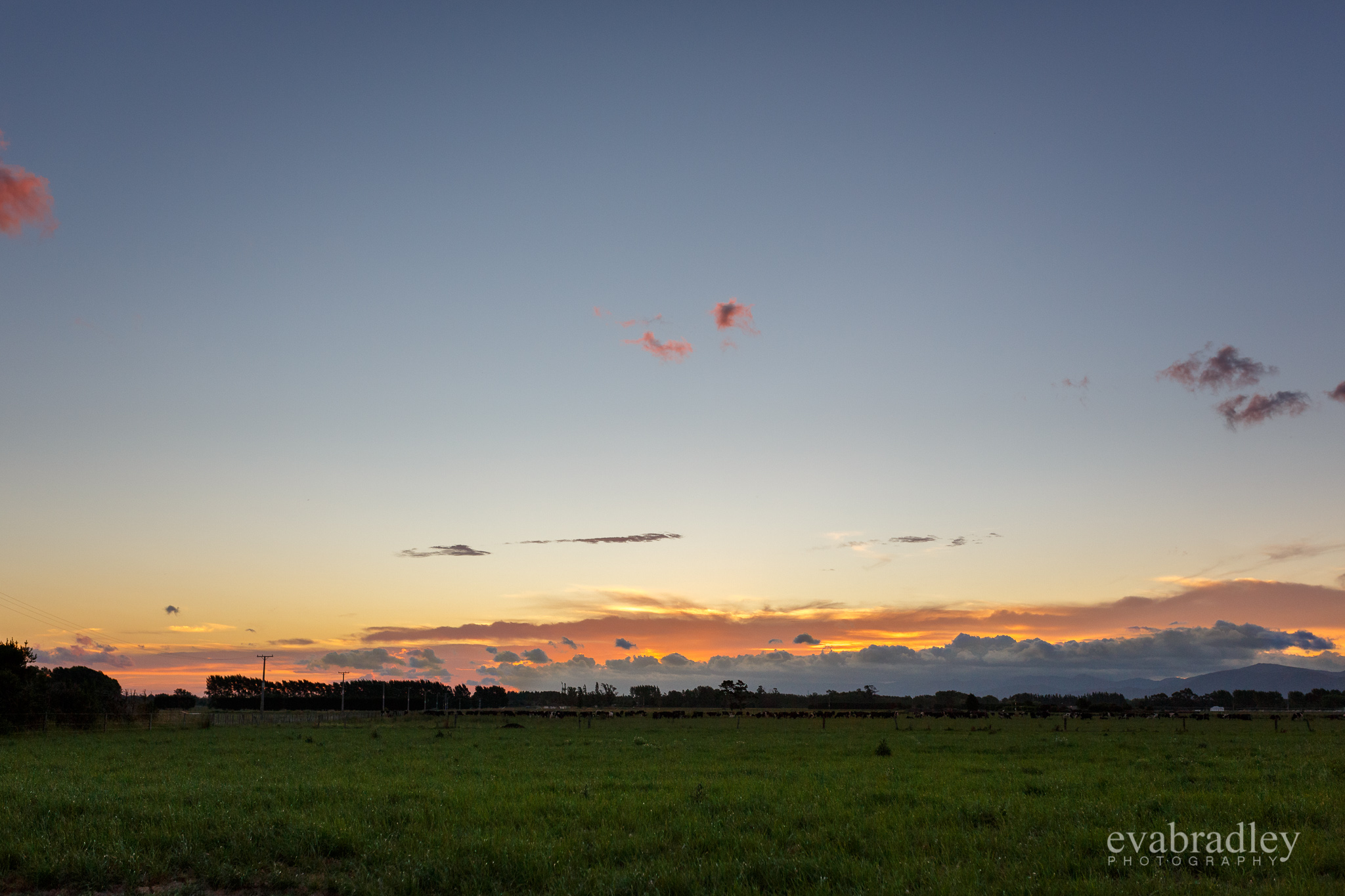 wairarapa-weddings-nz