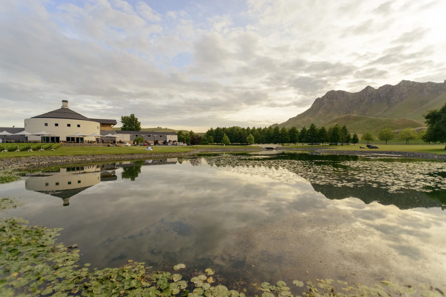 craggy-range-winery-weddings