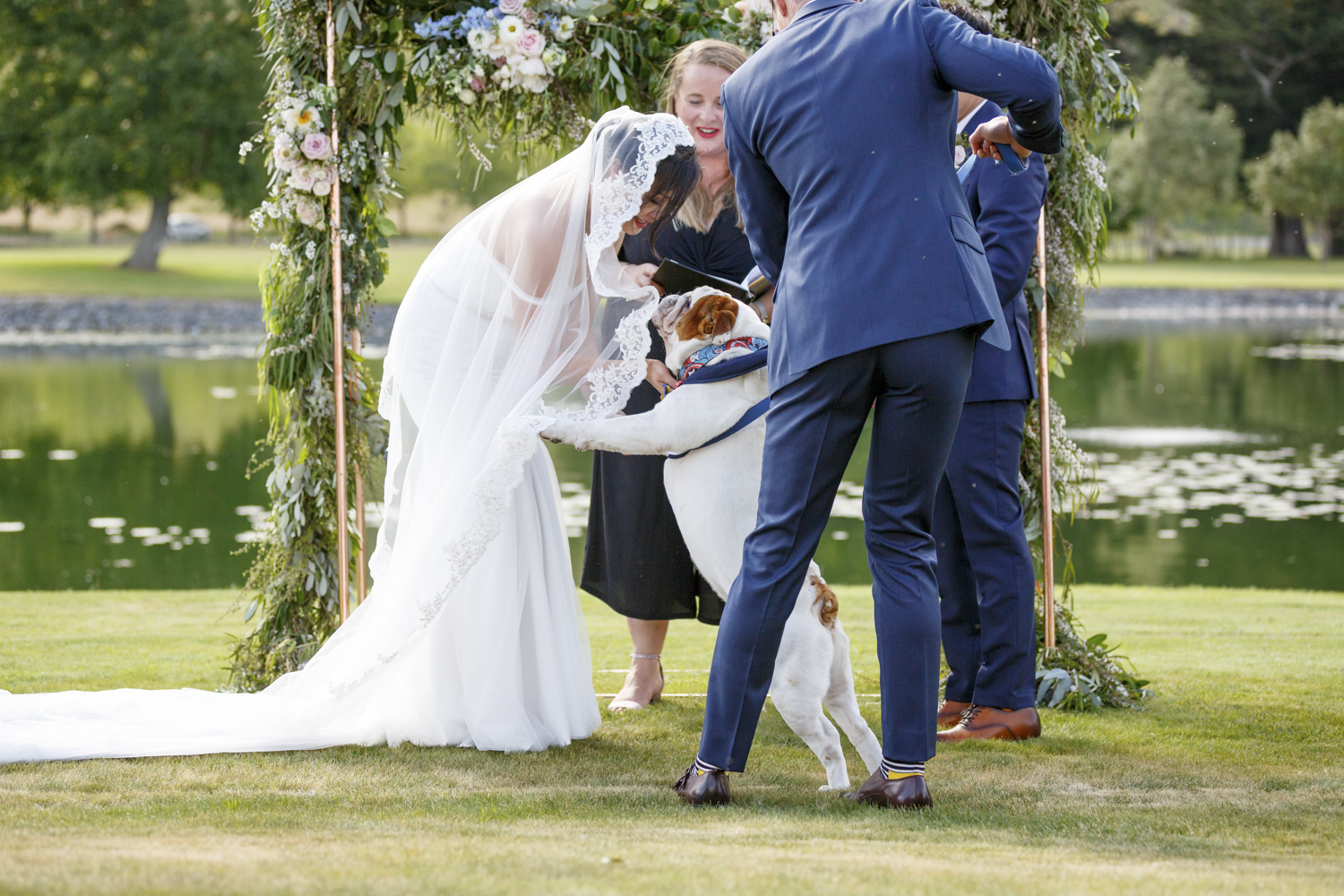 dogs-at-hawkes-bay-weddings