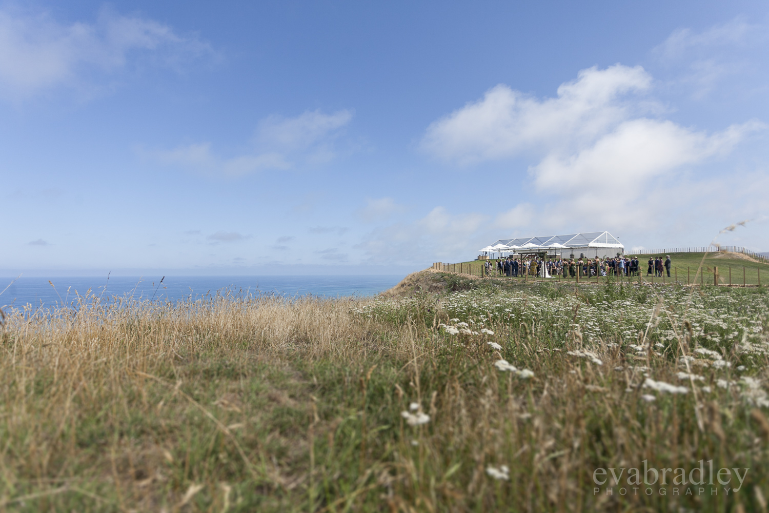 hawkes-bay-photographers-34.jpg