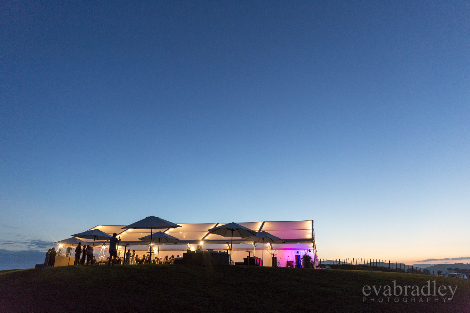 clear-roof-marquee-wedding-nz