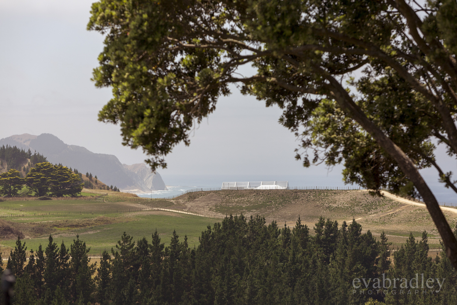 best-hawkes-bay-wedding-venues