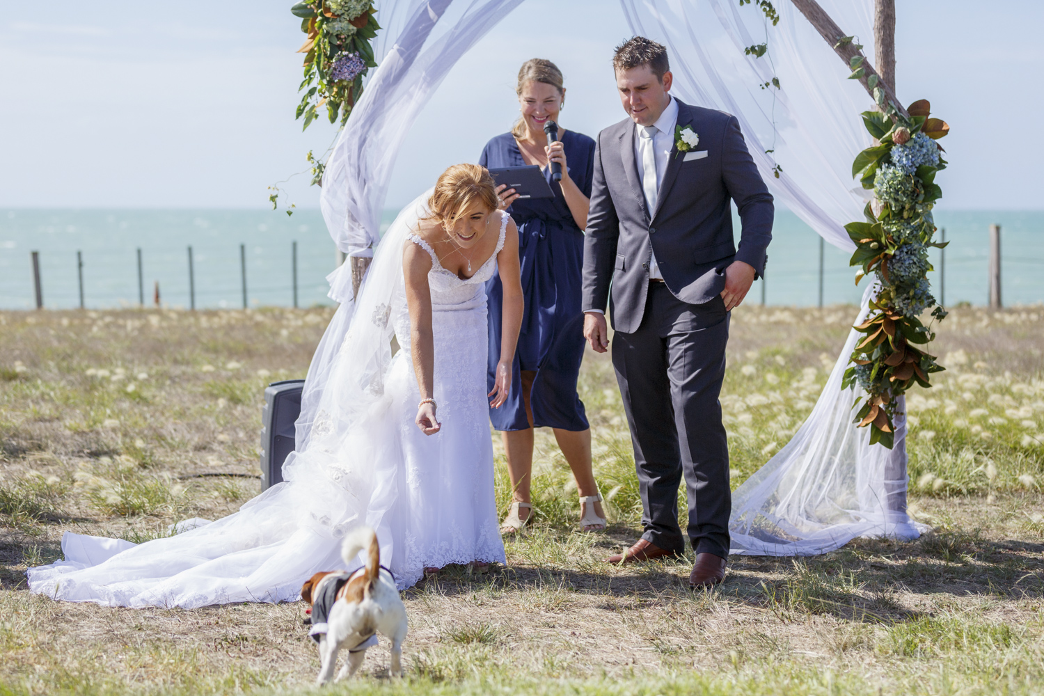 dog-as-ring-bearer-eva-bradley