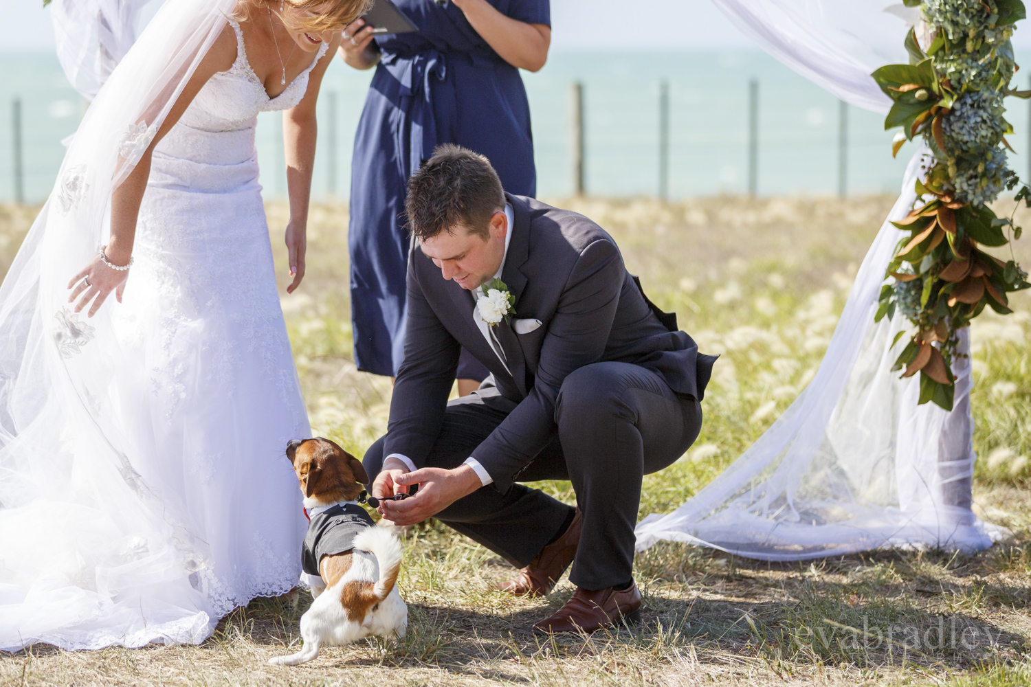 dog-ring-bearer-eva-bradley-nz