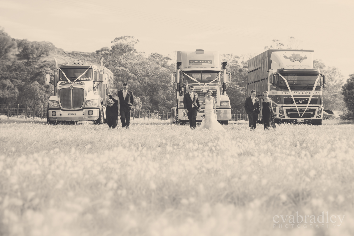 napier-wedding-photographer