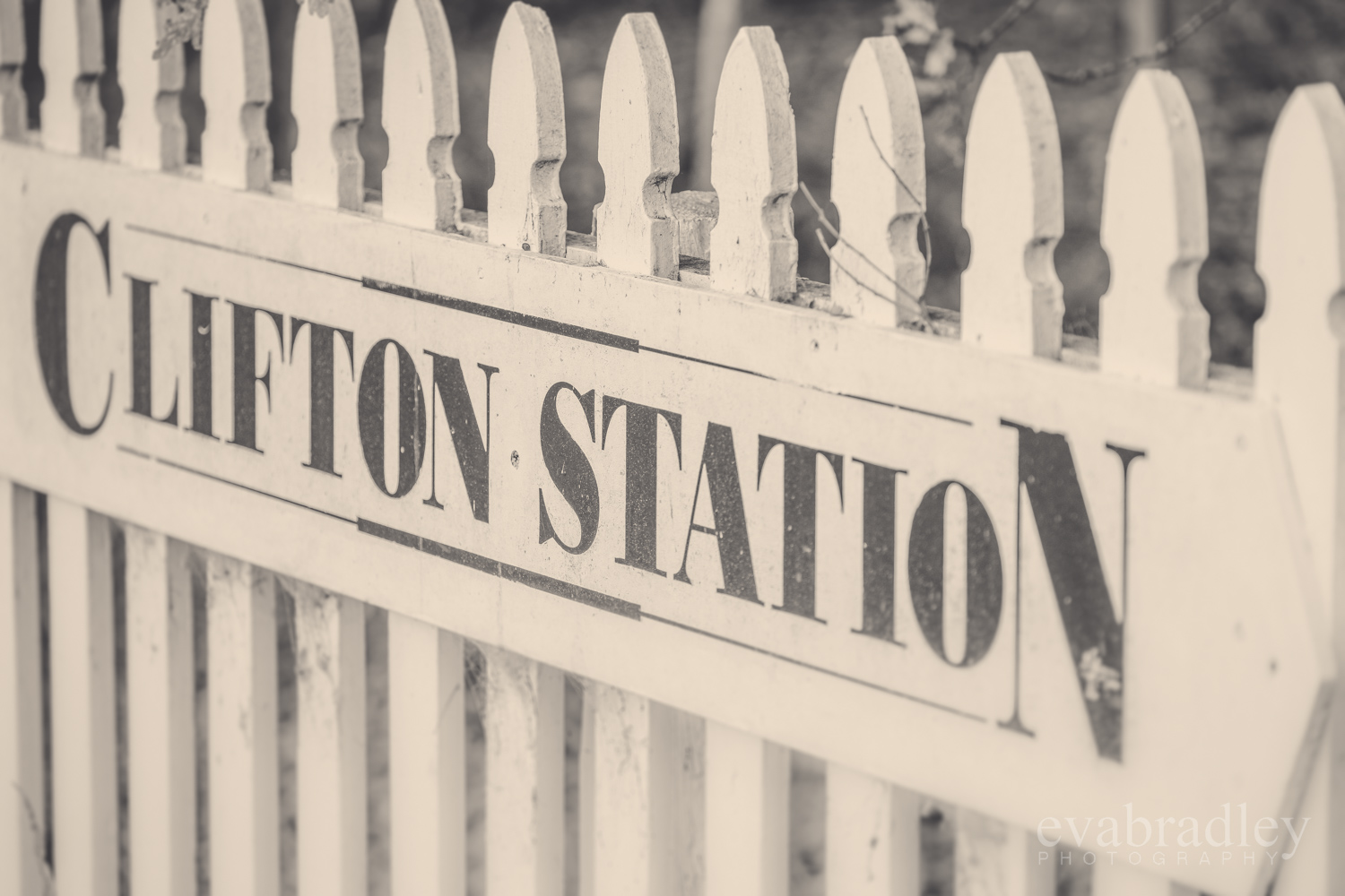 destination new zealand weddings