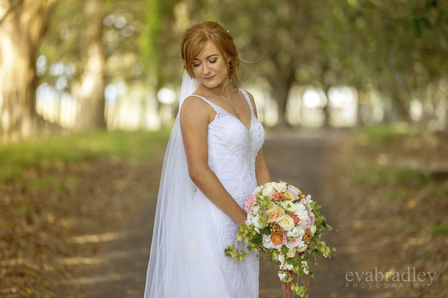 stella york wedding dress nz