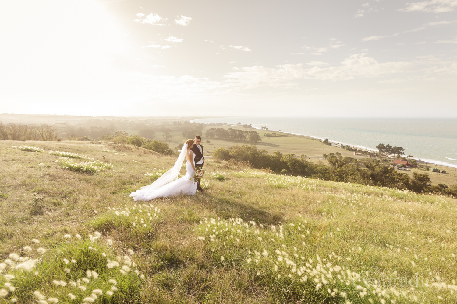 best napier wedding photographers