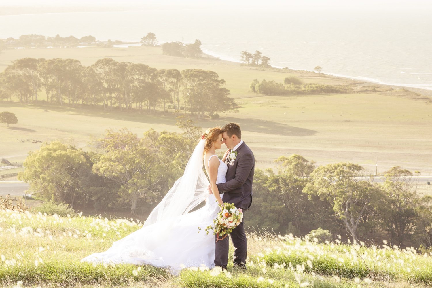 best napier photographer eva bradley