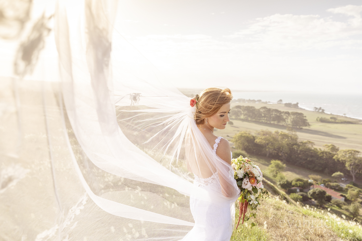 top 10 hawkes bay wedding photographers