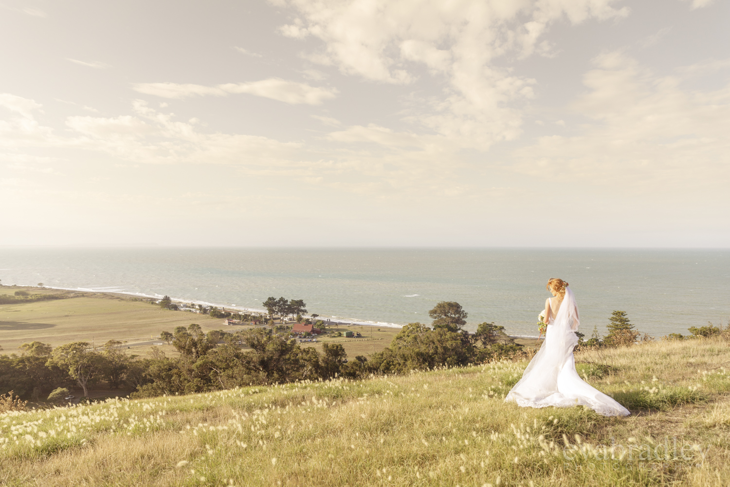 hawkes bay weddings new zealand