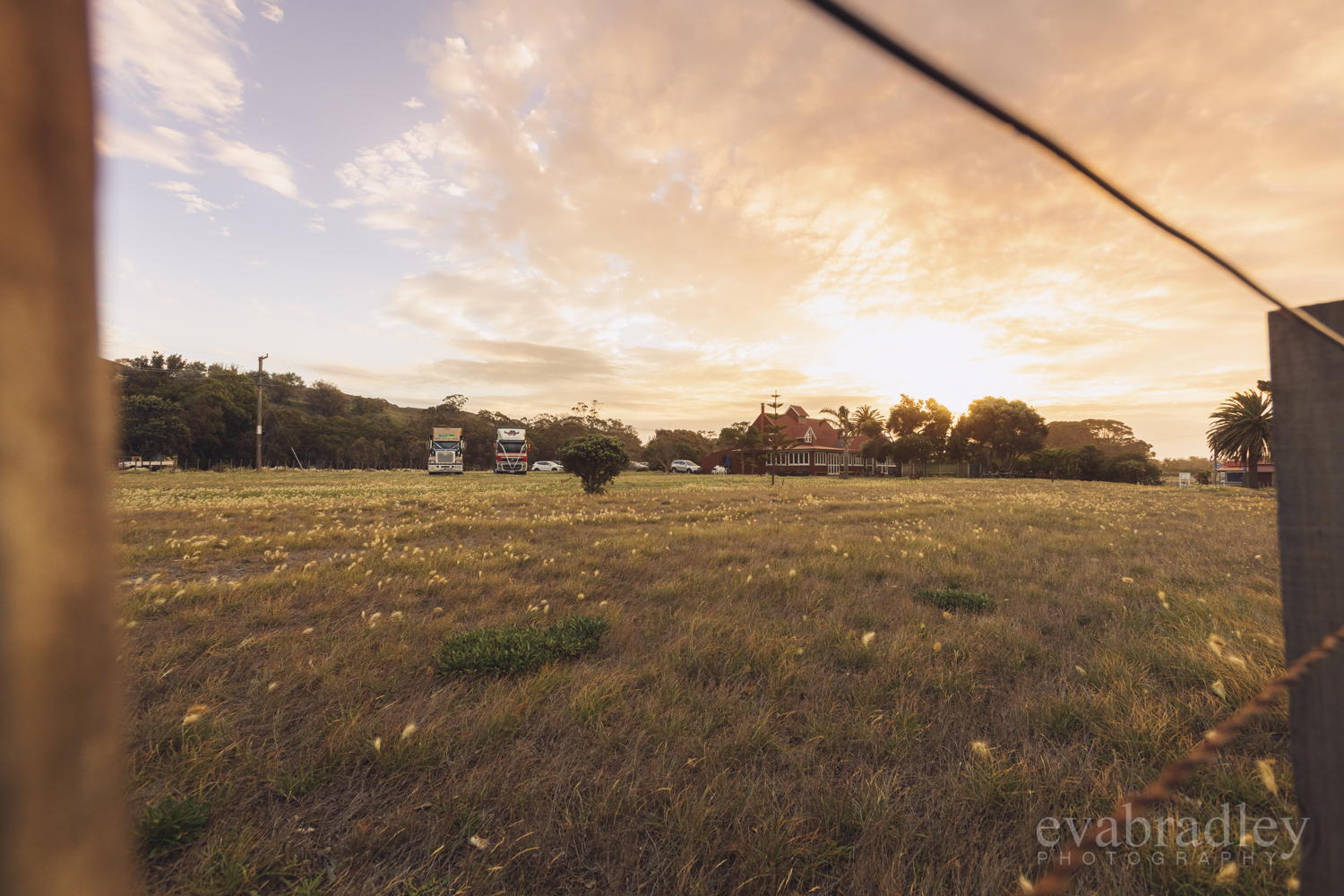 clifton cafe te awanga weddings