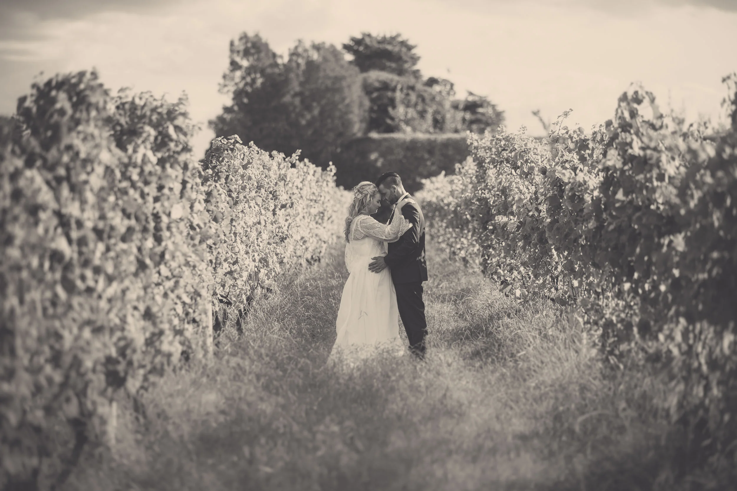 hawkes-bay-wedding-photographers