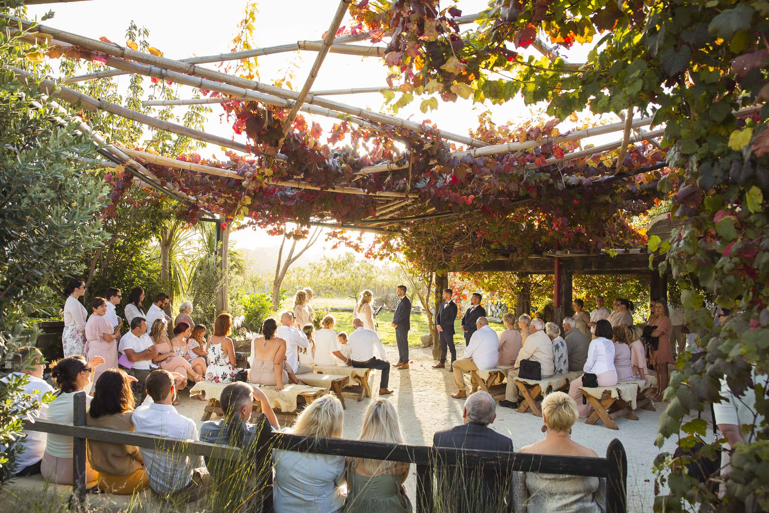 nz wedding photographer 1