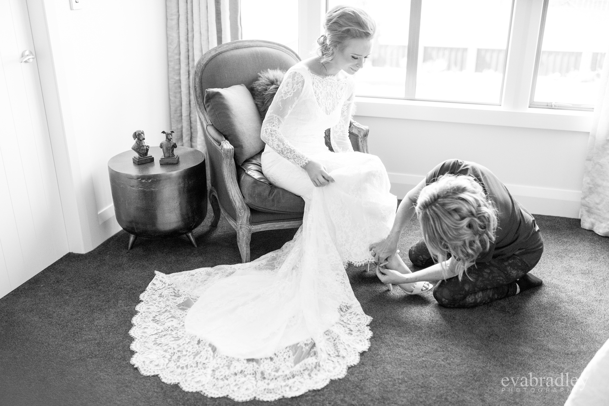 best palmerston north photographers