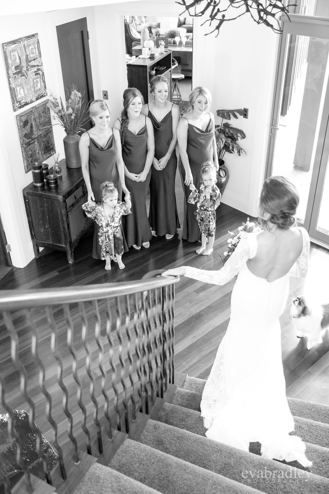 new zealand wedding photographer