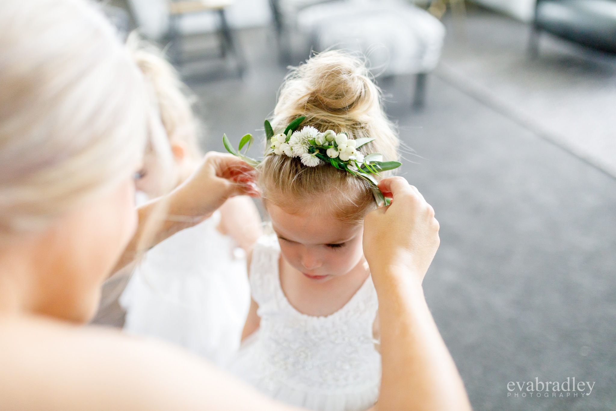 napier wedding photographers