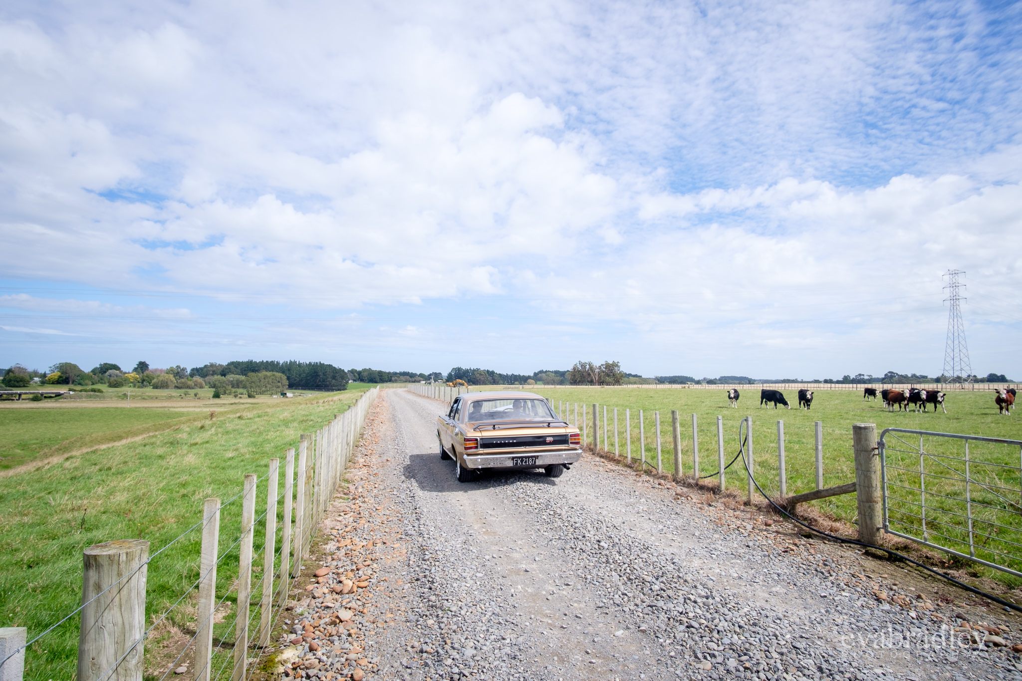 best hawkes bay wedding photographer