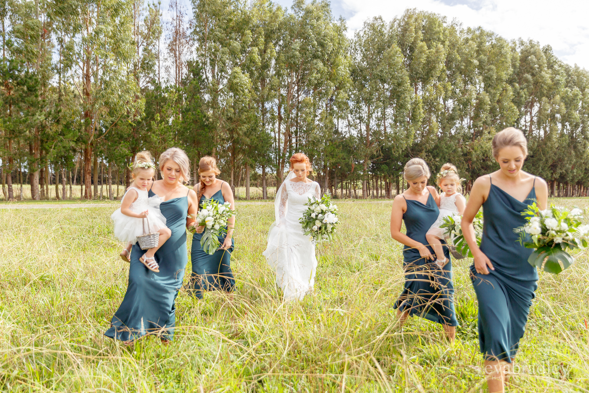 best nz wedding photographers