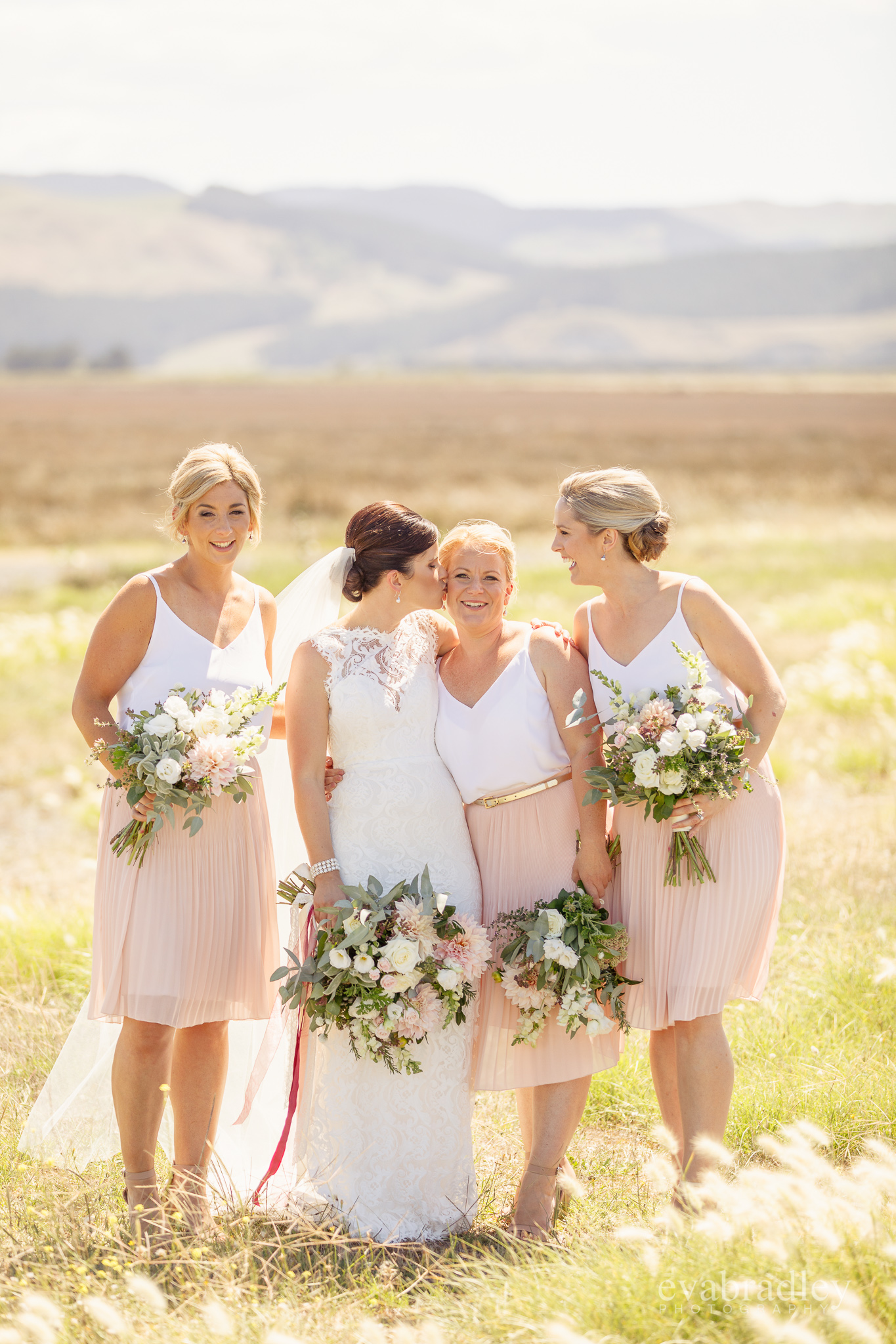 best nz wedding photographers