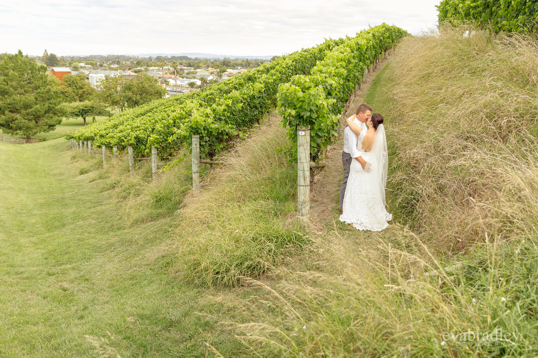 church road winery weddings eva