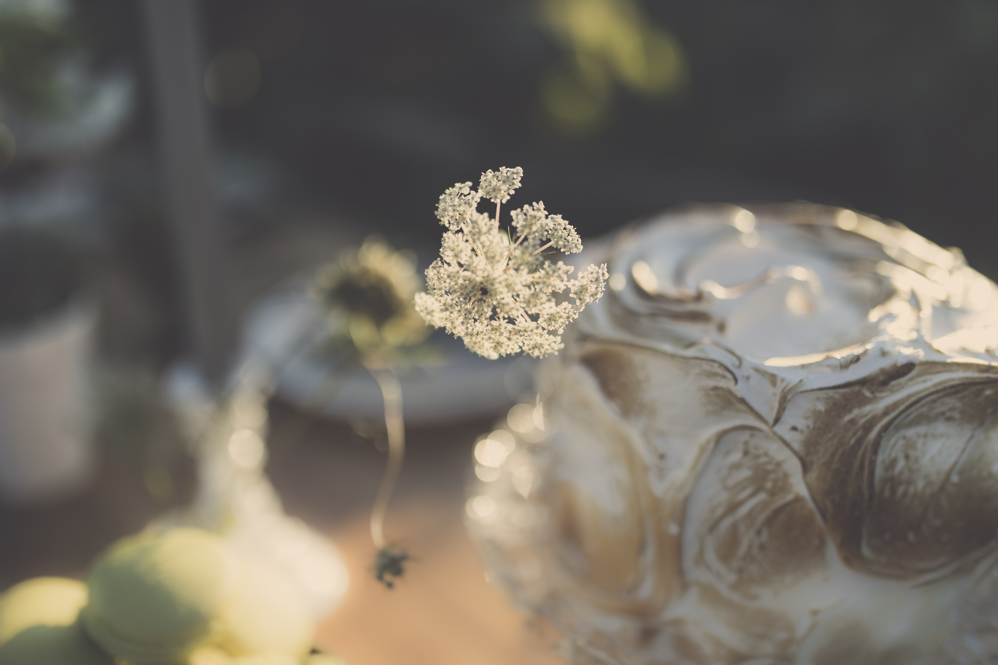 eva bradley photography nz