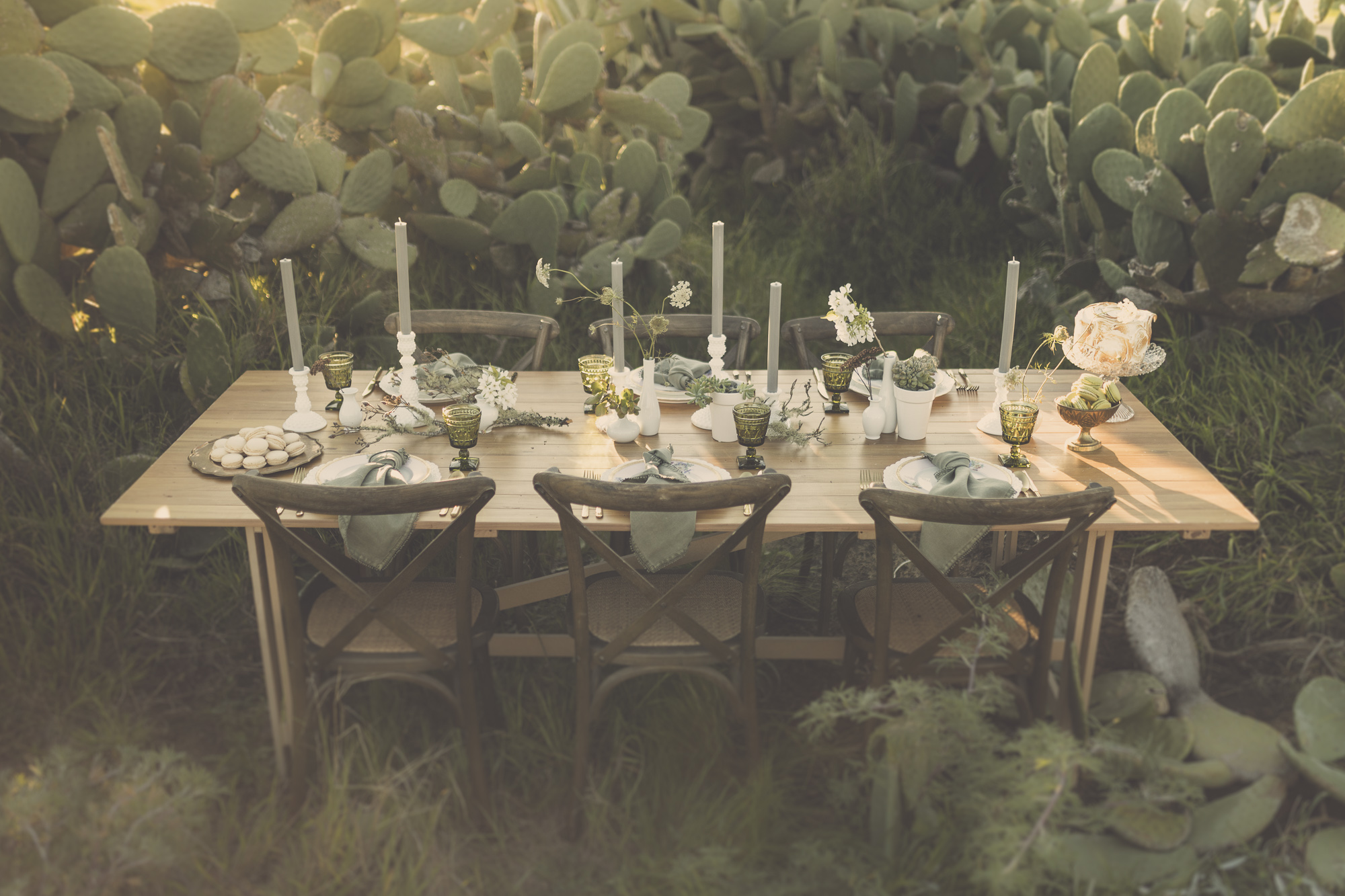wedding photography new zealand