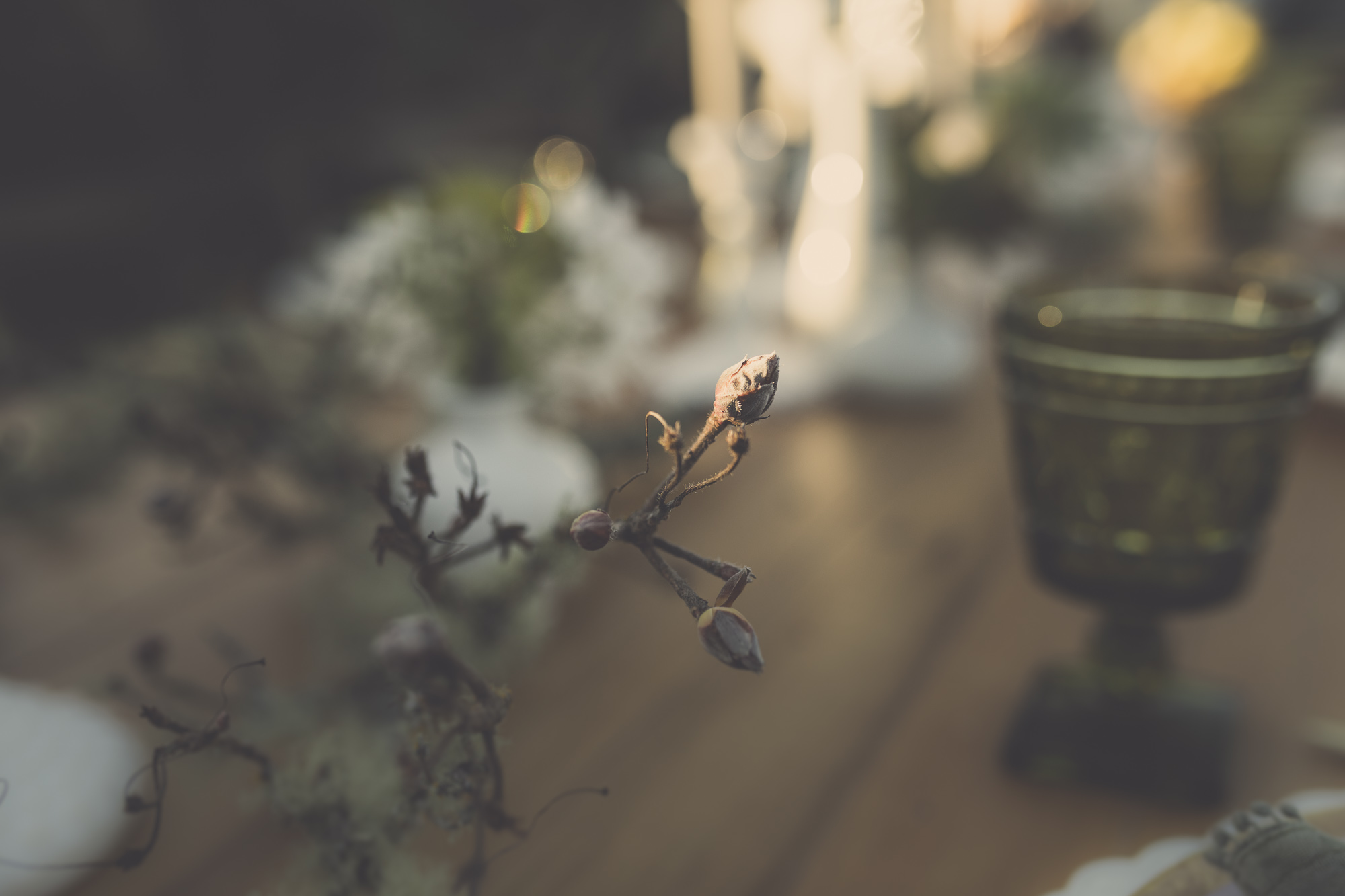 lushkha hawkes bay florists