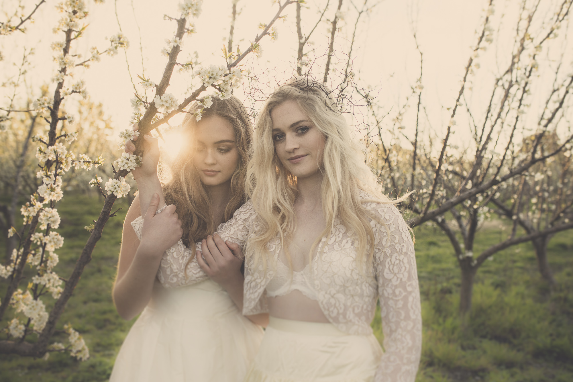 hawkes bay wedding venues