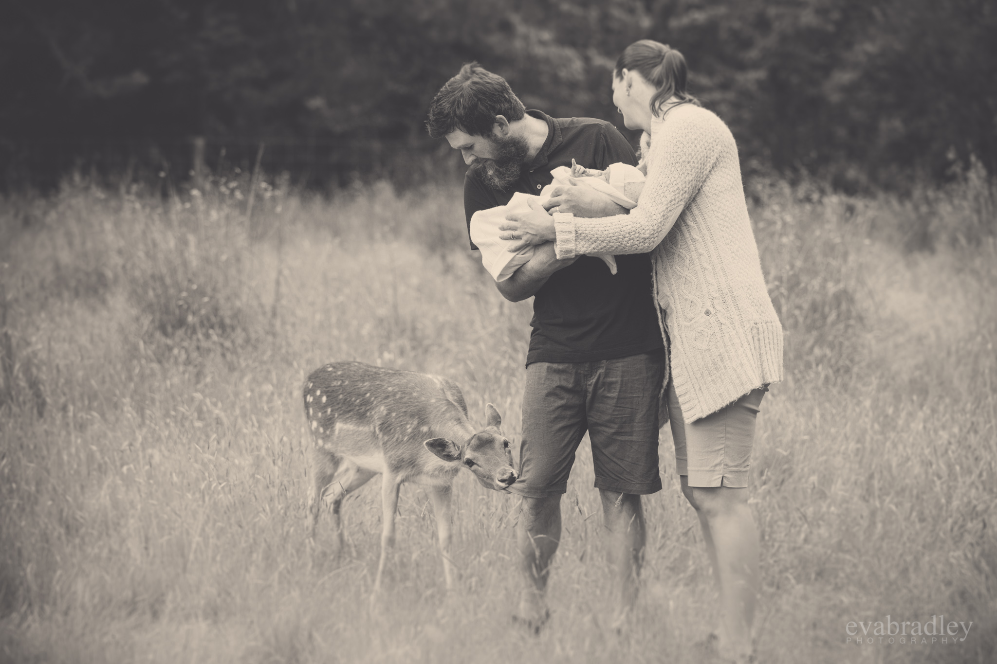 best napier newborn baby photographers