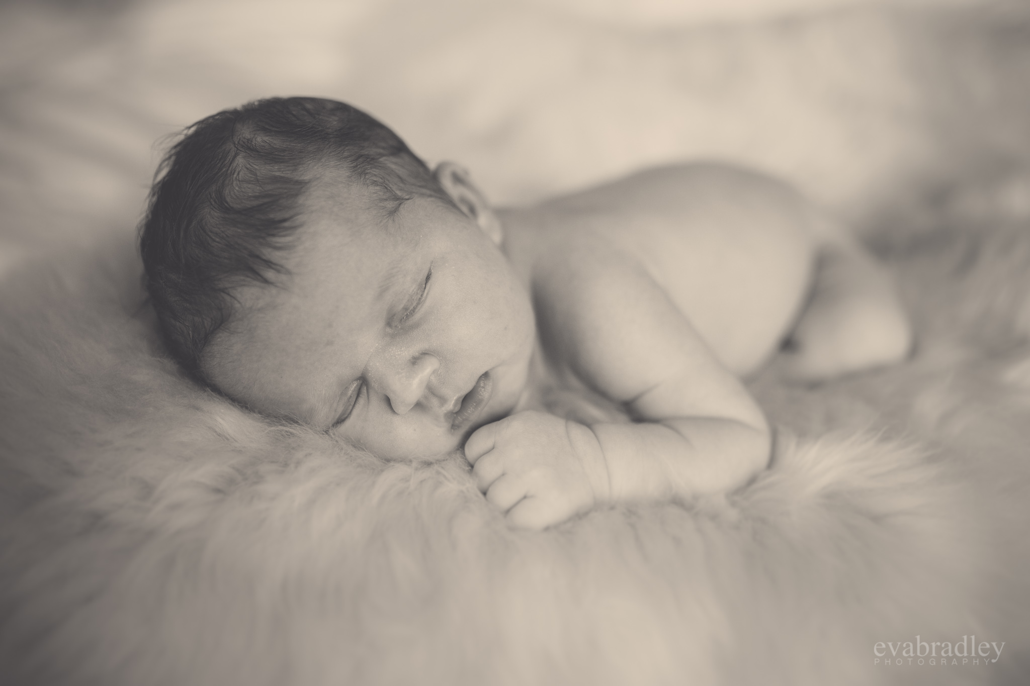 newborn-photographers-napier