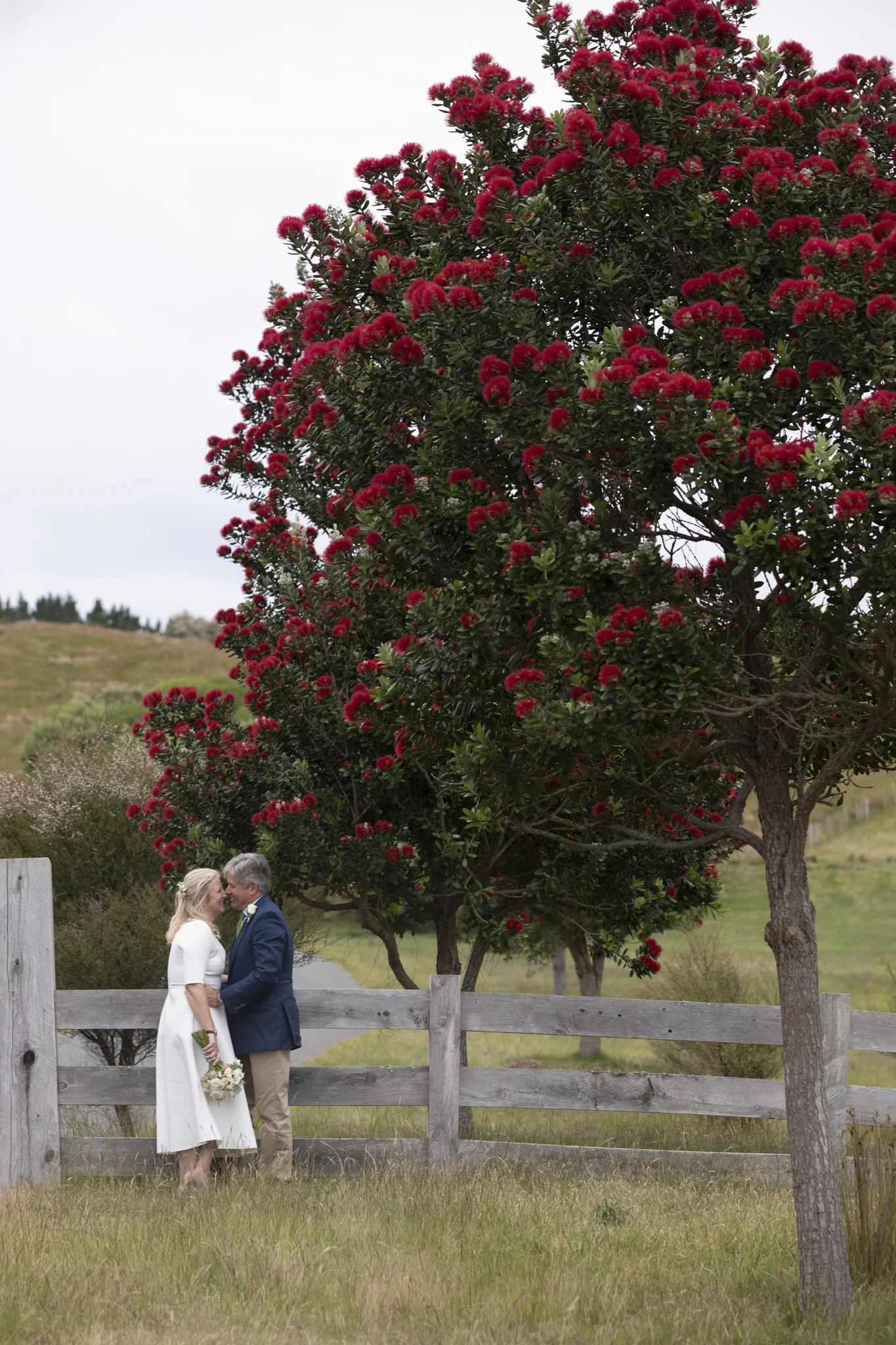hawkes-bay-wedding-photographer-008.jpg